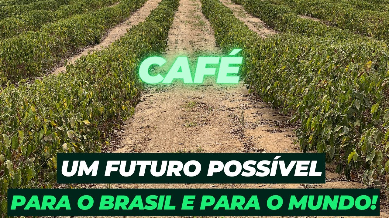 Café: um futuro possível para o Brasil e para o mundo