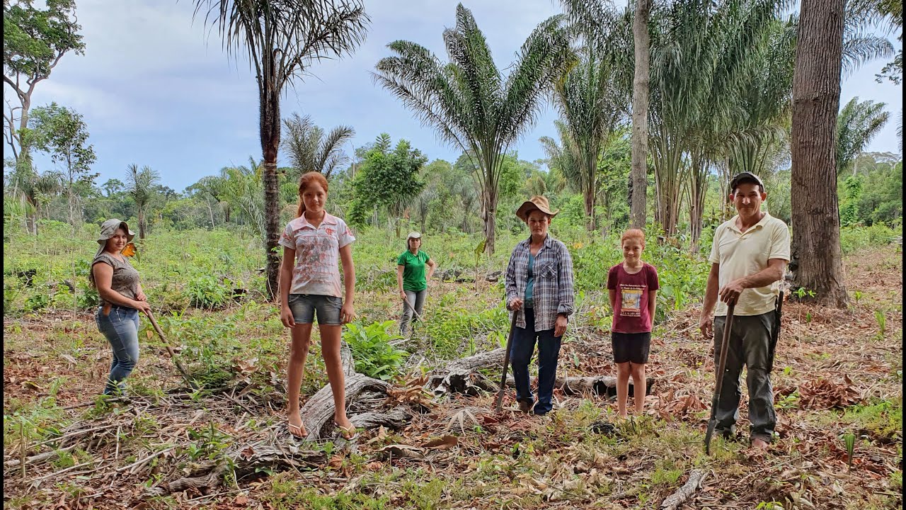 Um projeto de vida para plantar sem queimar a Amazônia