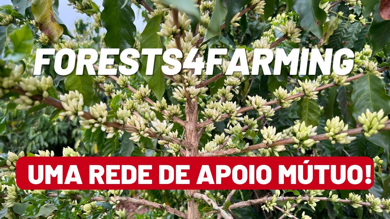 Forests4Farming: uma rede internacional de apoio mútuo