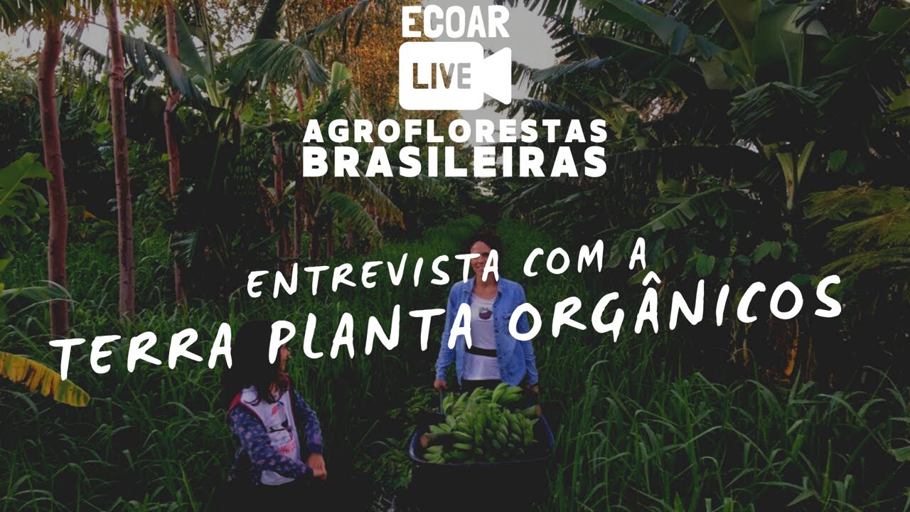 Live Agroflorestas Brasileiras: Terra Planta Orgânicos